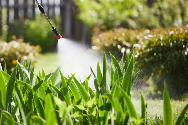 24/7 Emergency Wasp Removal experts in New Berlin, IL