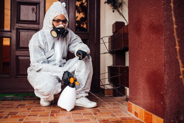 Reliable Wasp Removal contractor in New Berlin, IL by Show Me Pest Control