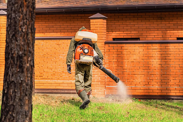 Top rated local Wasp Removal specialists in New Berlin, IL